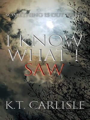 cover image of I Know What I Saw